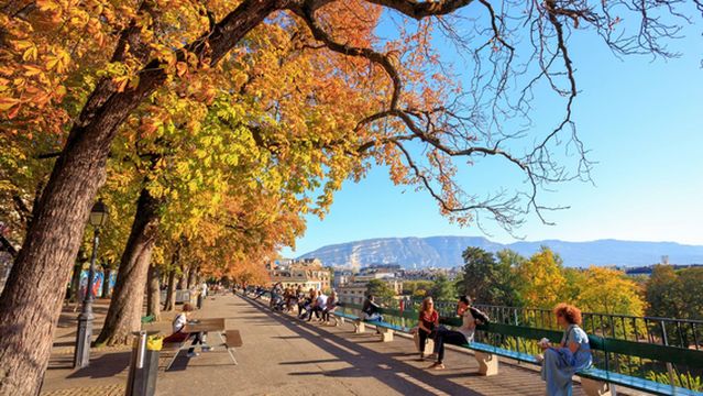 Promenade de la Treille