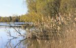 Lianghong Wetland Park