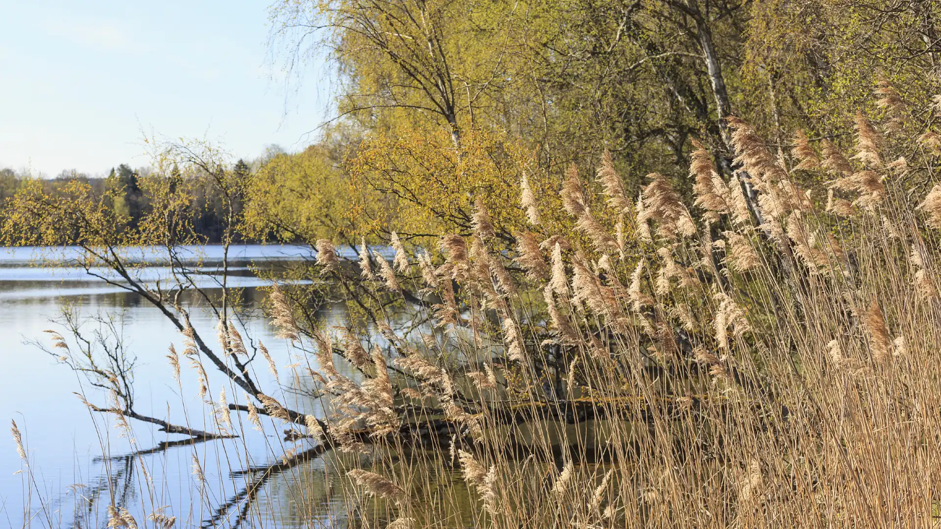 Hotels near Lianghong Wetland Park