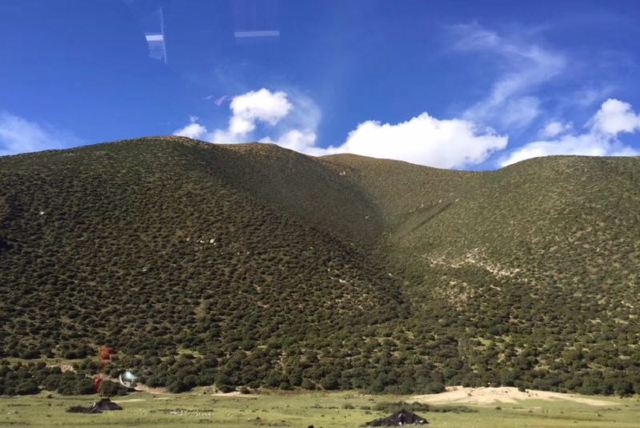 米拉山口
