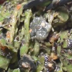 Lao Min Tian Luo Guan User Photo