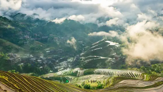 龍脊梯田 1 日私人包團