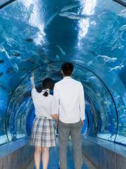 Ningbo Ocean World