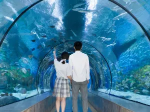 Ningbo Ocean World