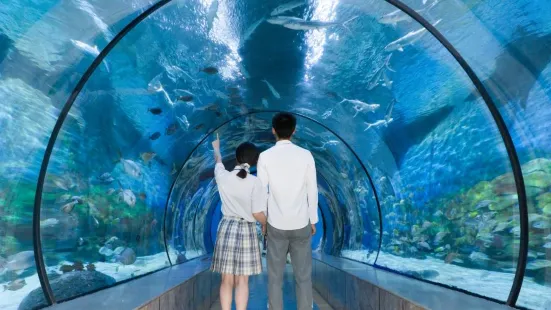 Ningbo Ocean World