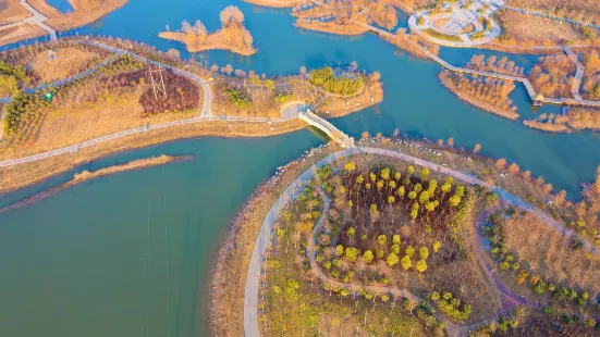 Linyingxian Huanglong Wetland Park