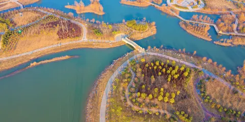 臨潁縣黃龍濕地公園