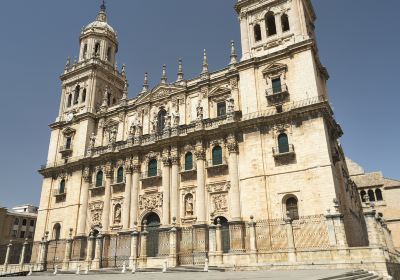 Catedral de Nuestra Señora de la Asunción