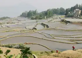 Honghe Hani Rice Terraces