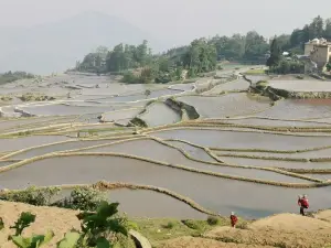 Рисовые террасы Юаньян