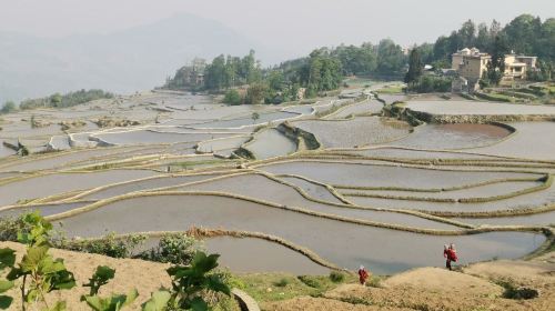 Honghe Hani Rice Terraces