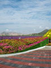 Fengyuan Flower Sea, Daping