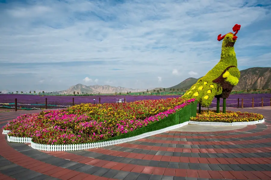 Fengyuan Flower Sea, Daping