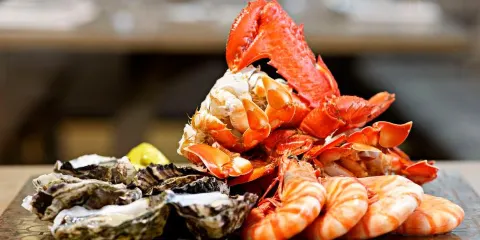 珠海華髮喜來登酒店·FEAST全日餐廳