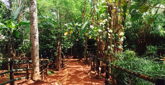 Matela Spice Garden