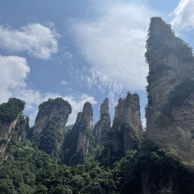 Zhangjiajie - National Forest Park 