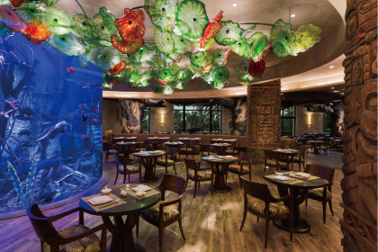 DOLPHIN ALL DAY DINING