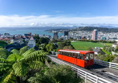Wellington