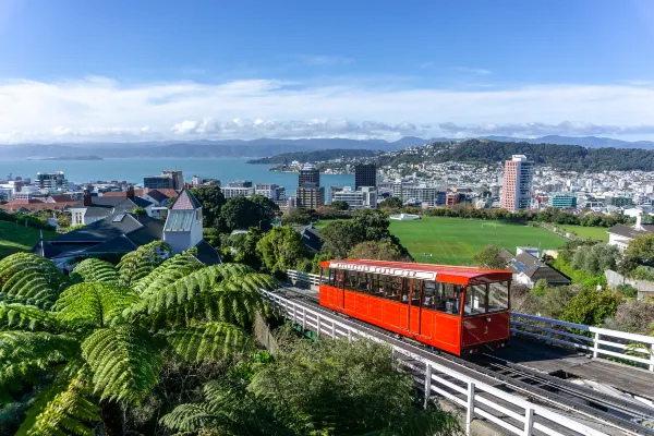 Vé máy bay đi Wellington