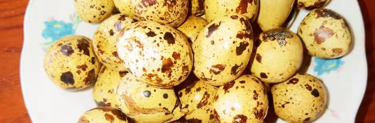 Osetra Seafood & Steaks