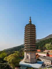 Buddha Tooth Buddhist Relics Pagoda, Lingguang Temple