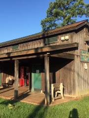 Longleaf Trace Trail