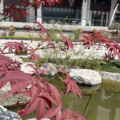 陇南恒悦祥酒店·中餐厅 User Photo
