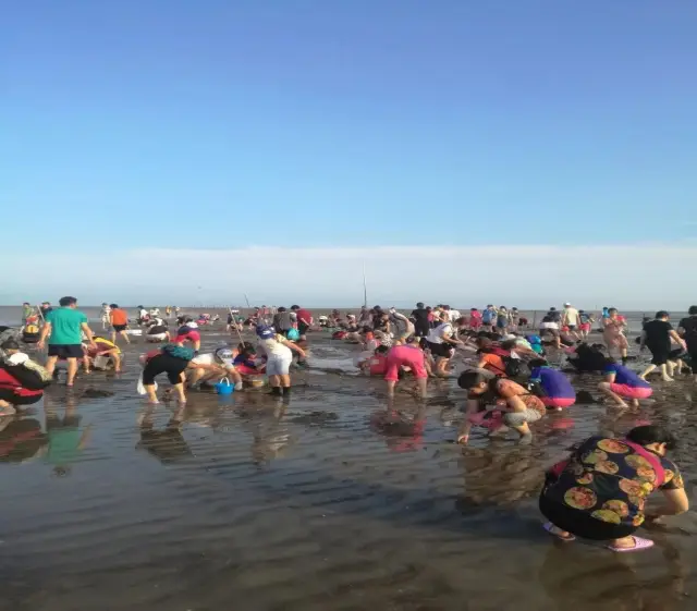 Beachcombing in Lianjiang