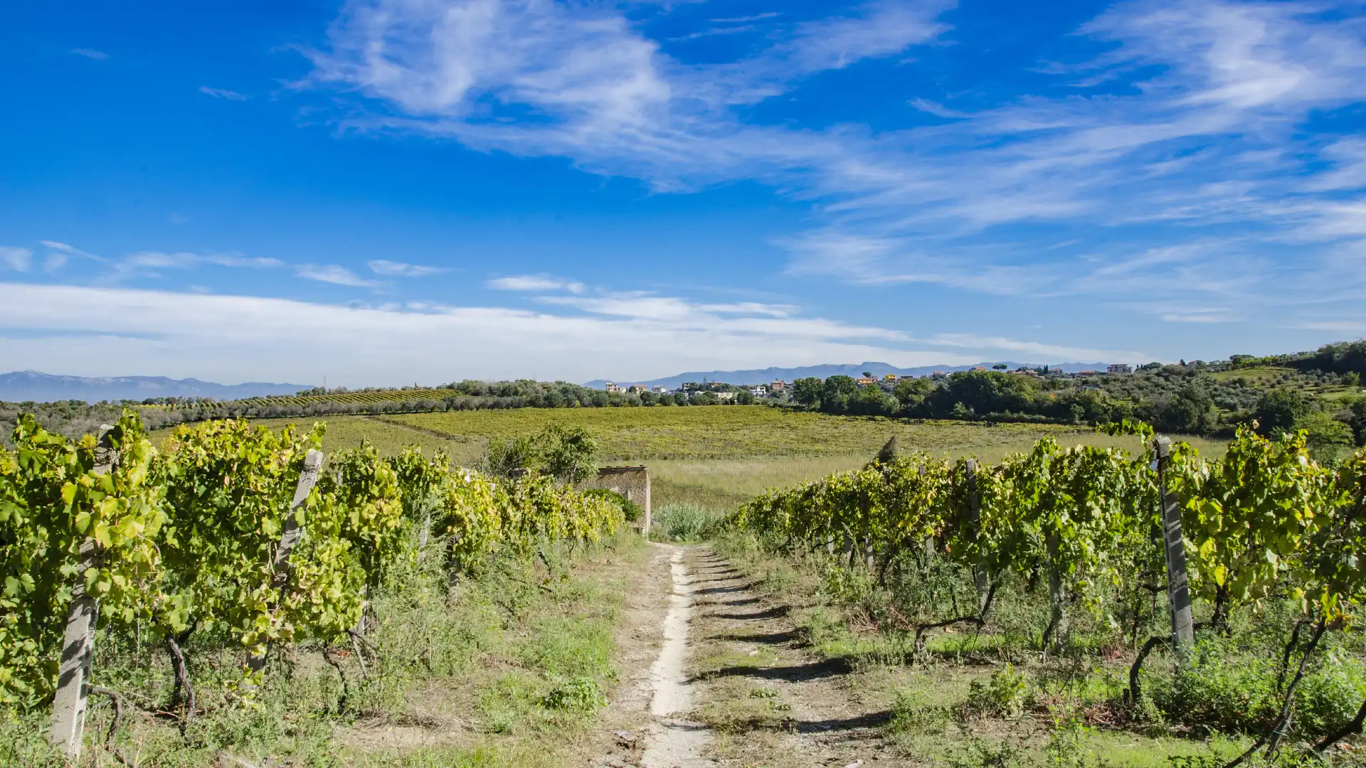 Hotels near Frascati