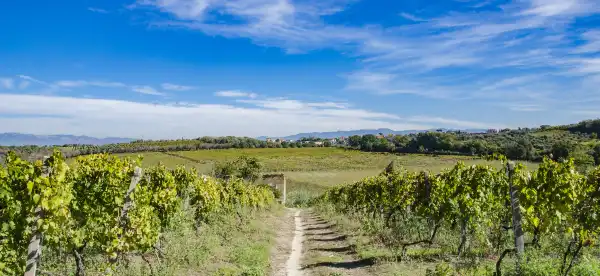 Hotels in Frascati