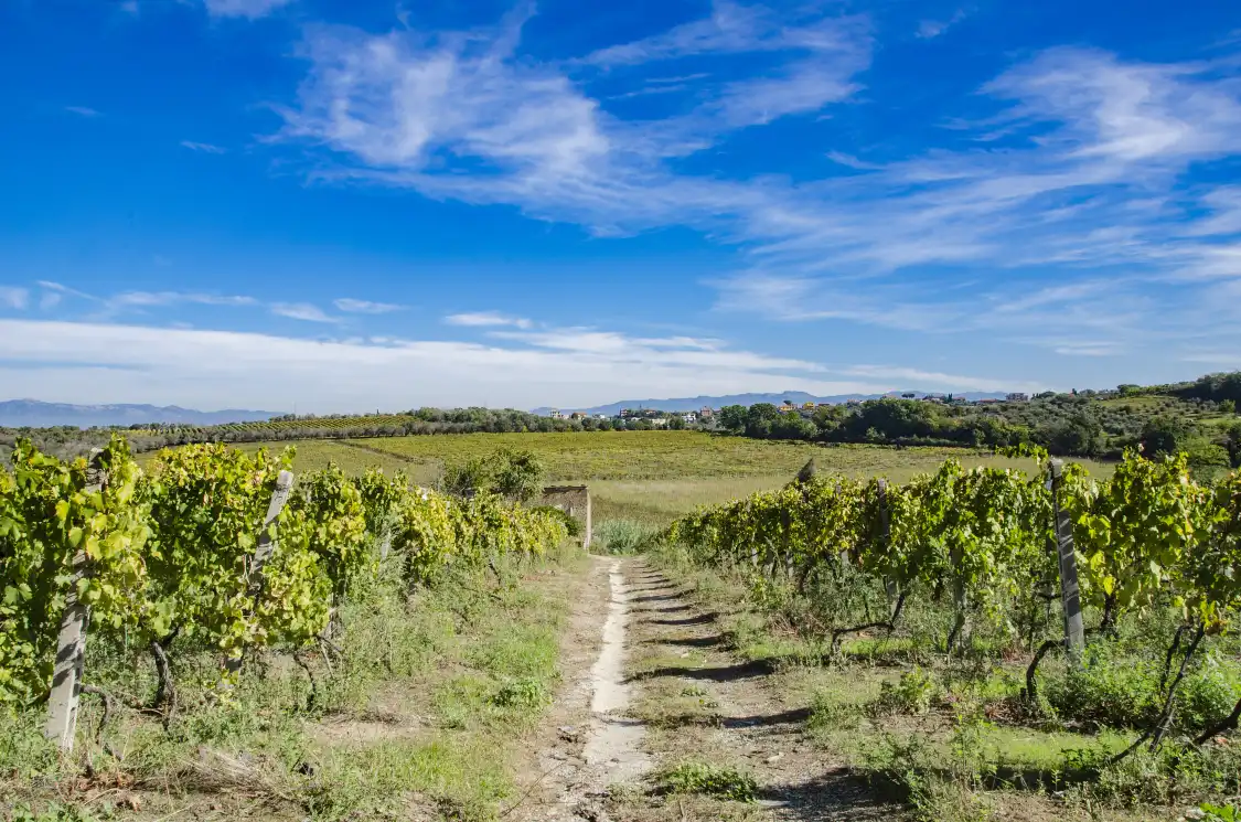 Hotels near Frascati