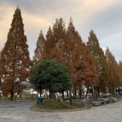 HUIZHOUMEISHI User Photo