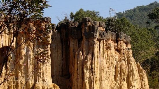 黄联土林是发育在一套冰水冻融泥石流堆积体之上的地貌景观，土林