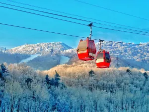 ヤブリ サンシャイン  スキー リゾート