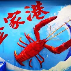 JINJIAGANG User Photo