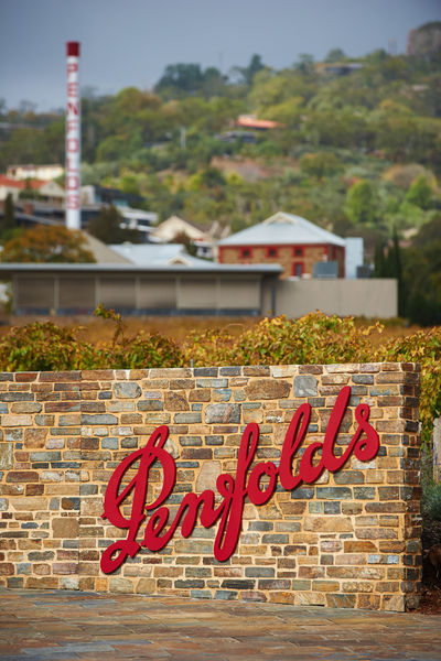 Penfolds Magill Estate Cellar Door