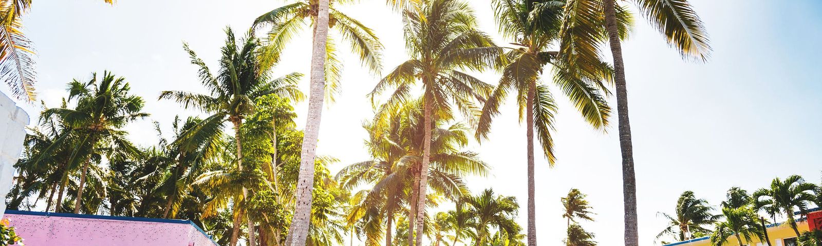 travel