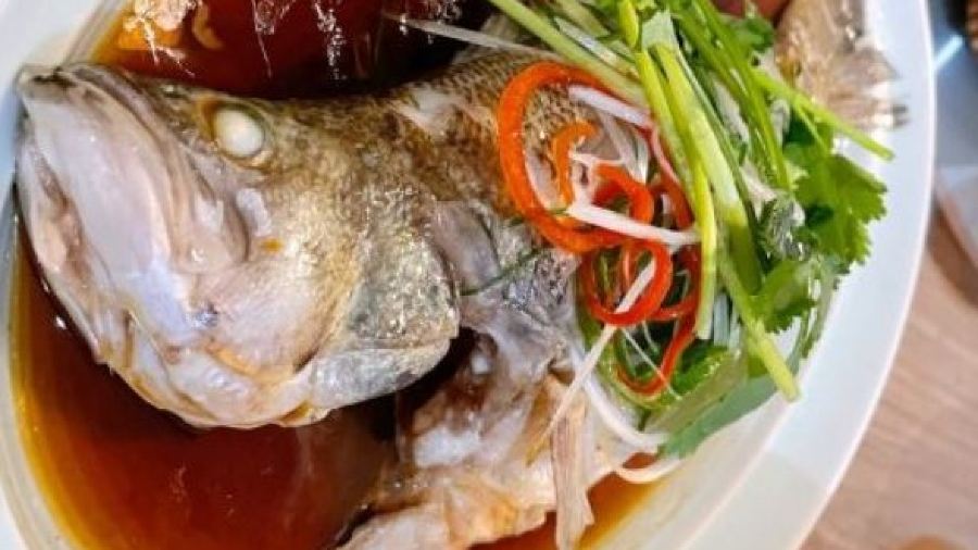 余姚树蛙部落中餐厅