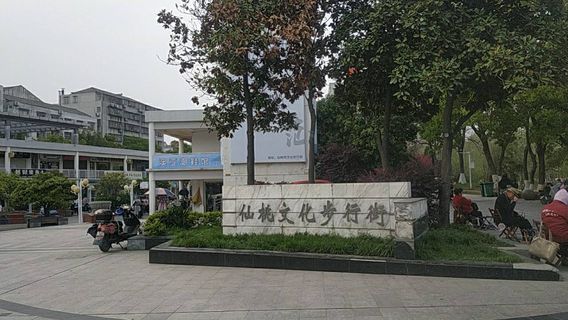 XianTao WenHua BuXingJie