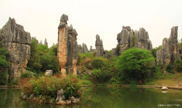 Qifeng Cave