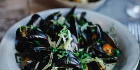 The Lyme Bay Cafe and Bar