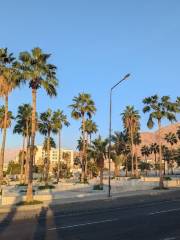 Tunisian Hammamet Gardens