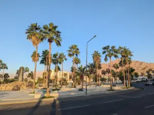 Tunisian Hammamet Gardens