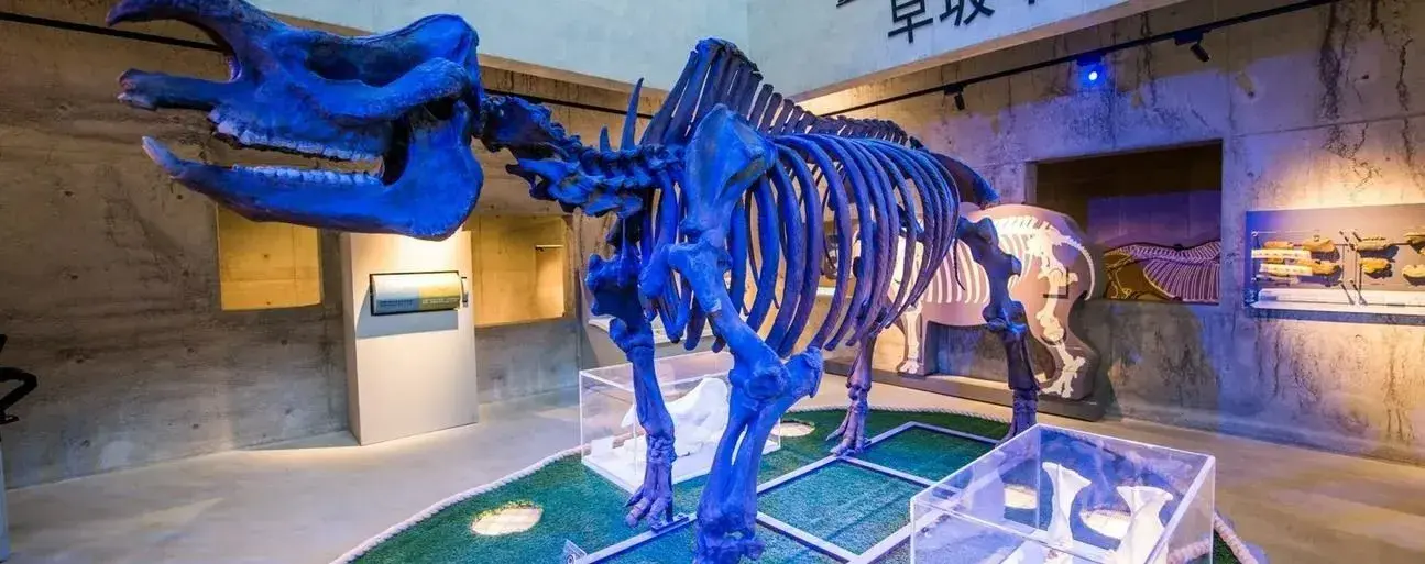 4_台南左鎮化石園區