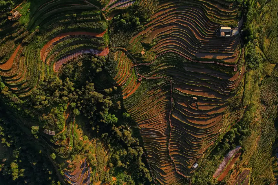 2_Xinshan Terraced Fields