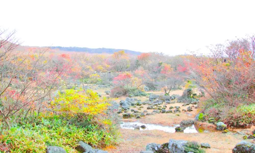 1100 Highland Ecological Swamp