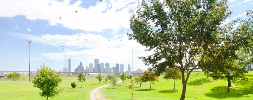 Bellevue Downtown Park