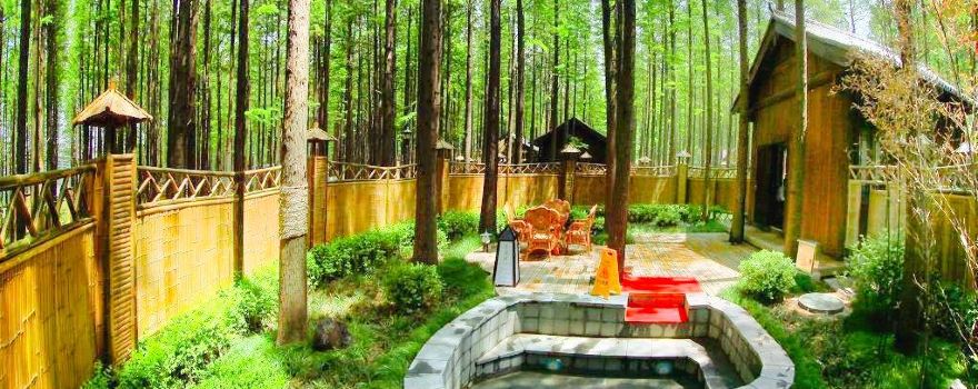 Hongze Lake Wetland and Hot Spring Resort