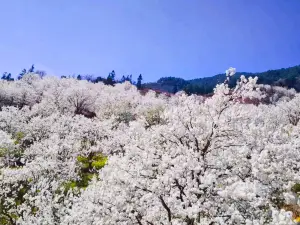 가급 마을 배화 계곡