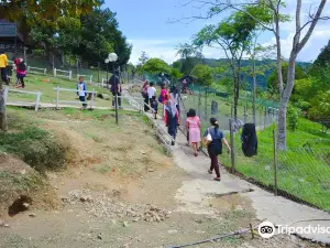 Arnab Village Ranau